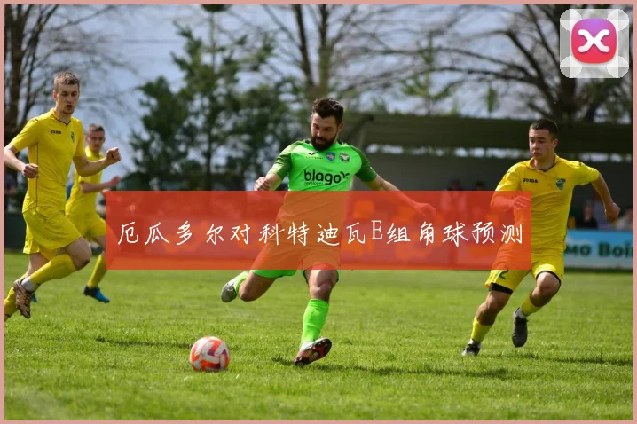 厄瓜多尔对科特迪瓦E组角球预测