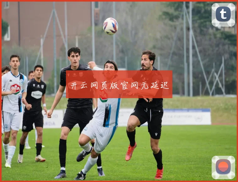 开云网页版官网无延迟