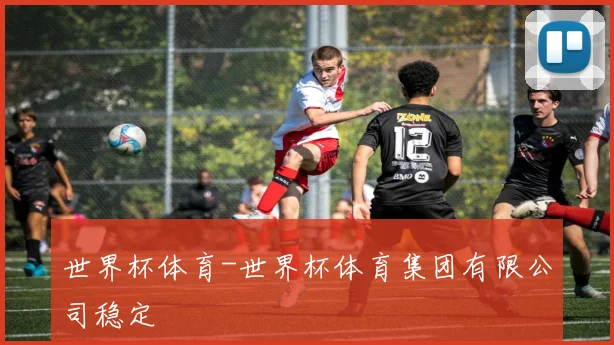 世界杯体育-世界杯体育集团有限公司稳定