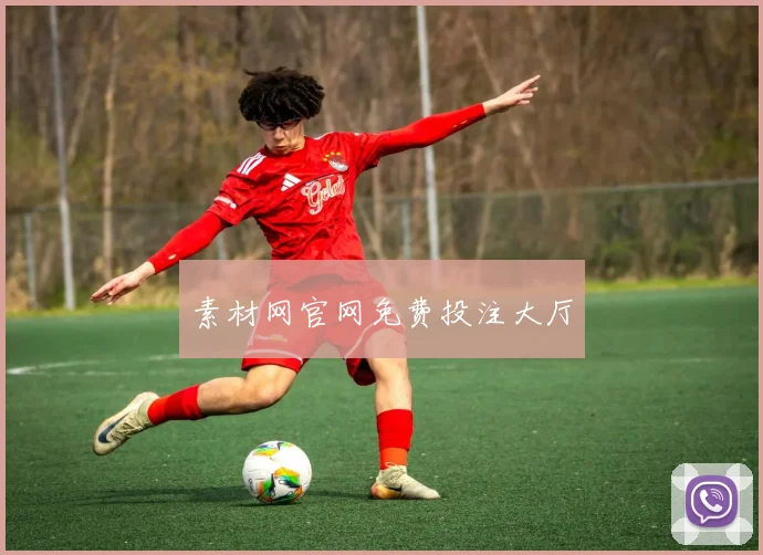 素材网官网免费投注大厅