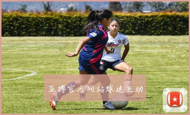 亚搏官方网站球迷互动