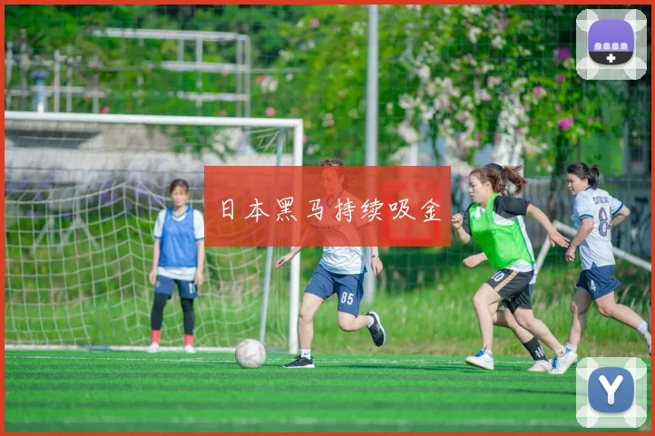 日本黑马持续吸金