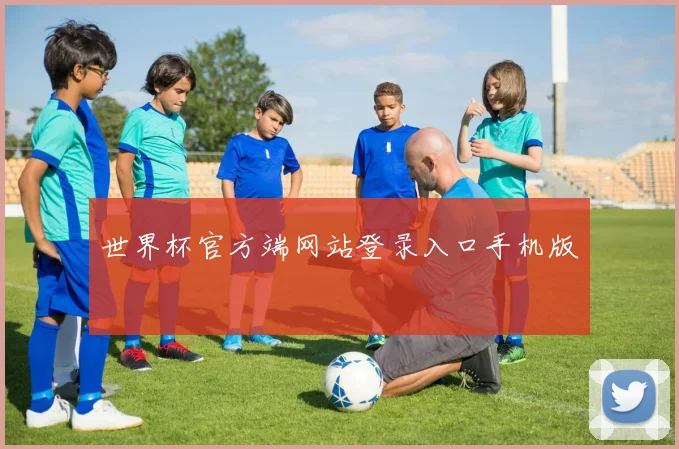 世界杯官方端网站登录入口手机版
