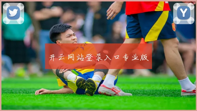 开云网站登录入口专业版