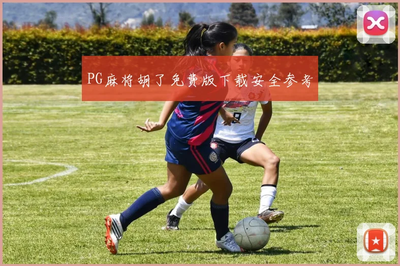PG麻将胡了免费版下载安全参考