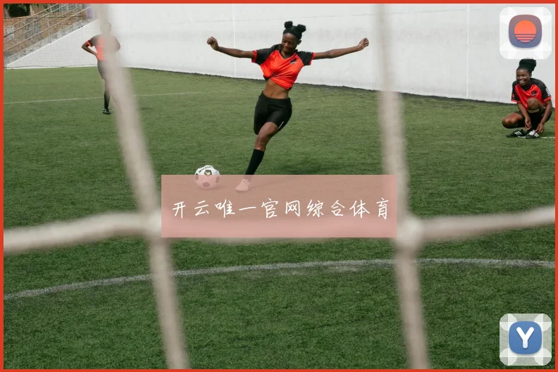 开云唯一官网综合体育