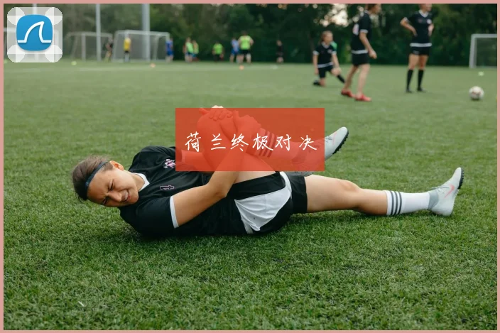 荷兰终极对决