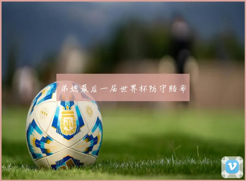 弟媳最后一届世界杯防守赔率