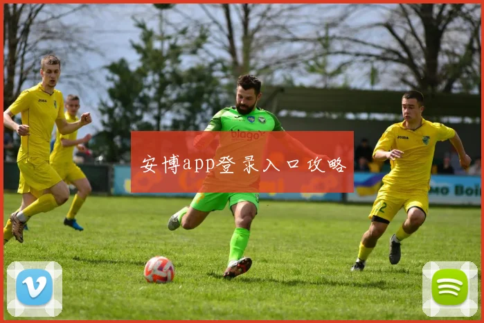 安博app登录入口攻略
