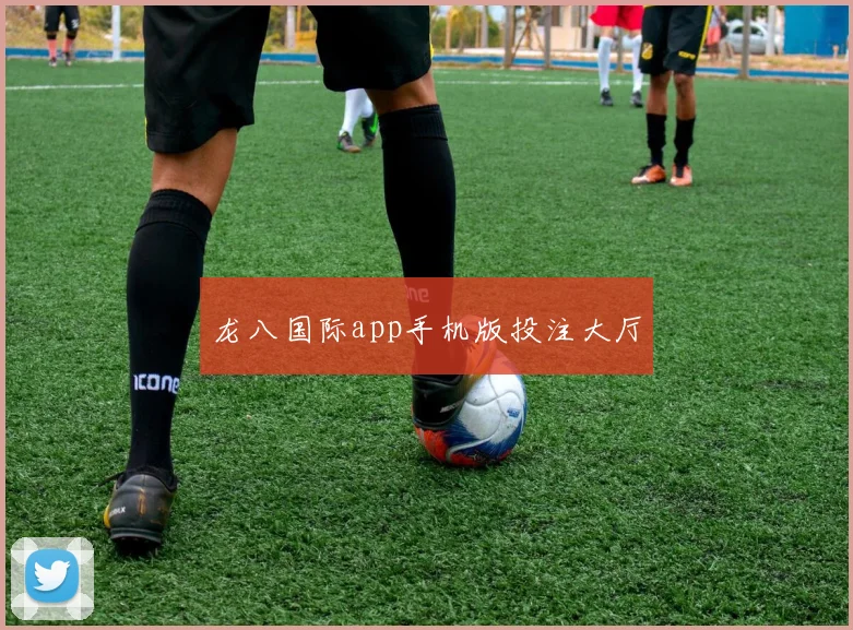 龙八国际app手机版投注大厅