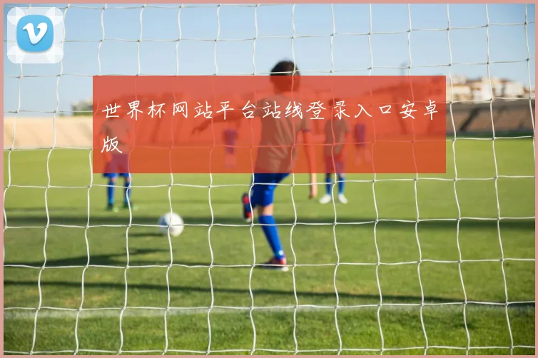 世界杯网站平台站线登录入口安卓版