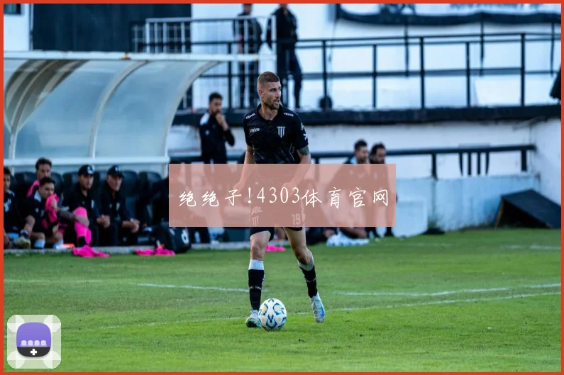 绝绝子!4303体育官网
