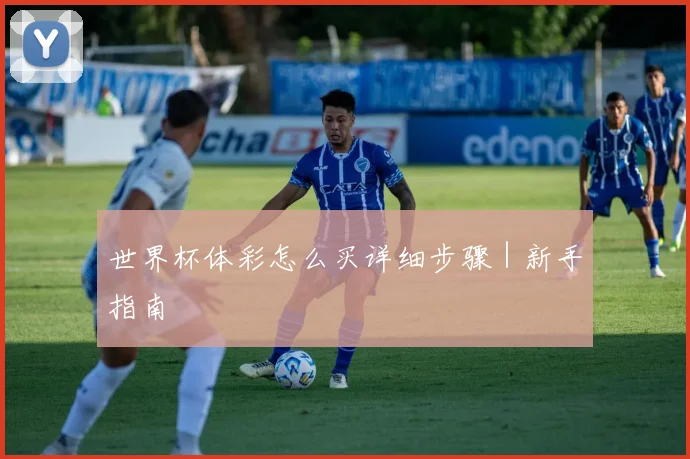 世界杯体彩怎么买详细步骤｜新手指南