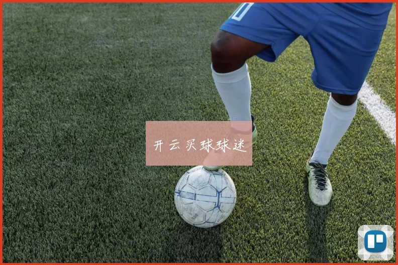 开云买球球迷
