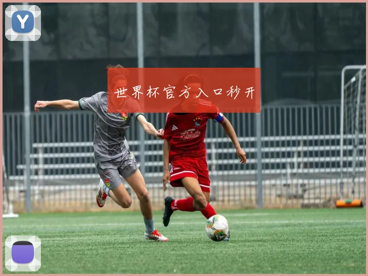 世界杯官方入口秒开