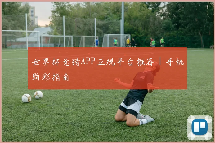 世界杯竞猜APP正规平台推荐｜手机购彩指南