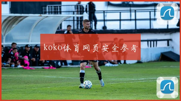 koko体育网页安全参考