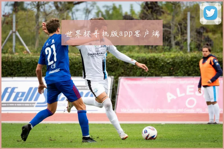 世界杯手机版app客户端