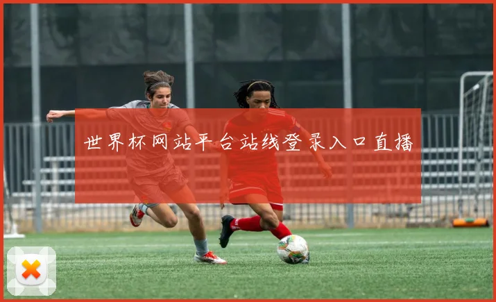 世界杯网站平台站线登录入口直播