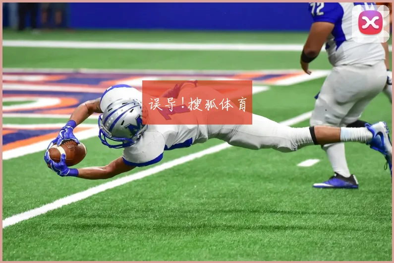 误导!搜狐体育