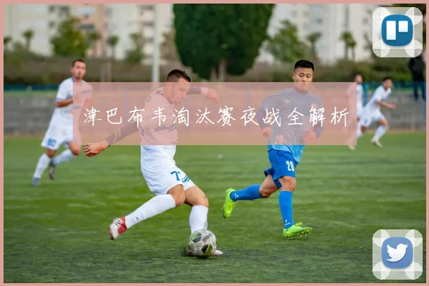 津巴布韦淘汰赛夜战全解析