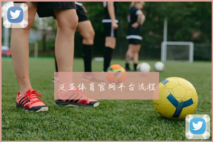 泛亚体育官网平台流程