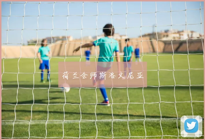 荷兰会师斯洛文尼亚