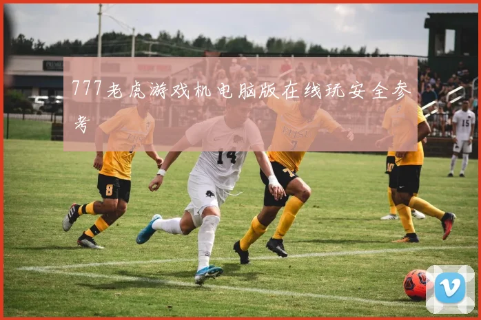 777老虎游戏机电脑版在线玩安全参考
