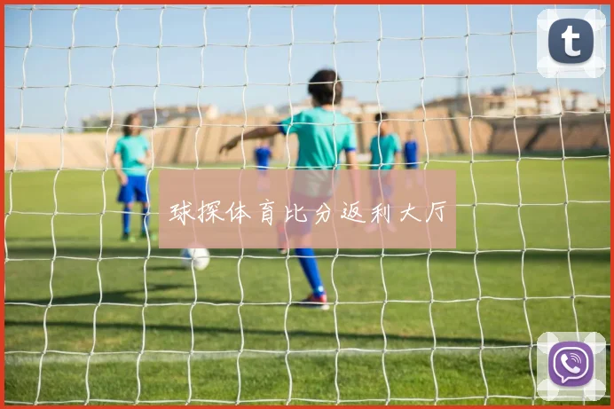球探体育比分返利大厅