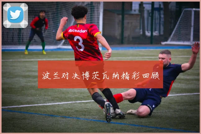 波兰对决博茨瓦纳精彩回顾