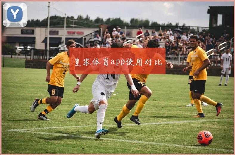 皇家体育app使用对比