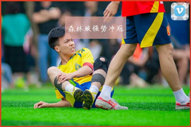 森林狼强势冲冠