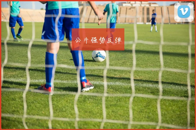 公牛强势反弹