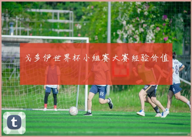 戈多伊世界杯小组赛大赛经验价值