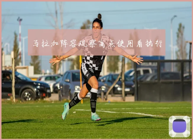 马拉加阵容观察高点使用看执行