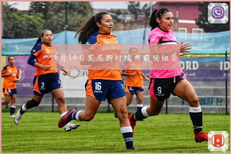 6月14日突尼斯对瑞典前场组合