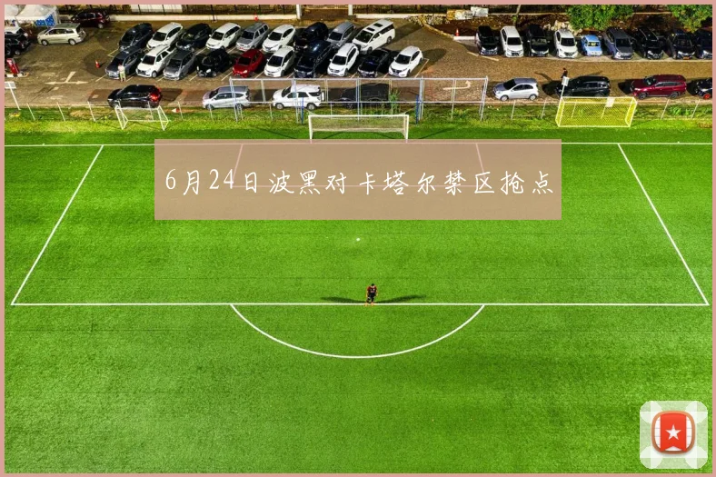 6月24日波黑对卡塔尔禁区抢点